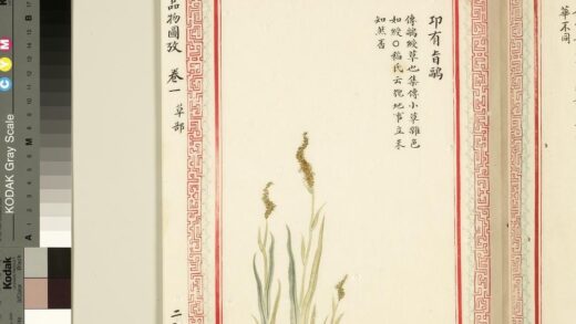 毛诗品物图考（一）册 卭有旨鹝 1.jpg