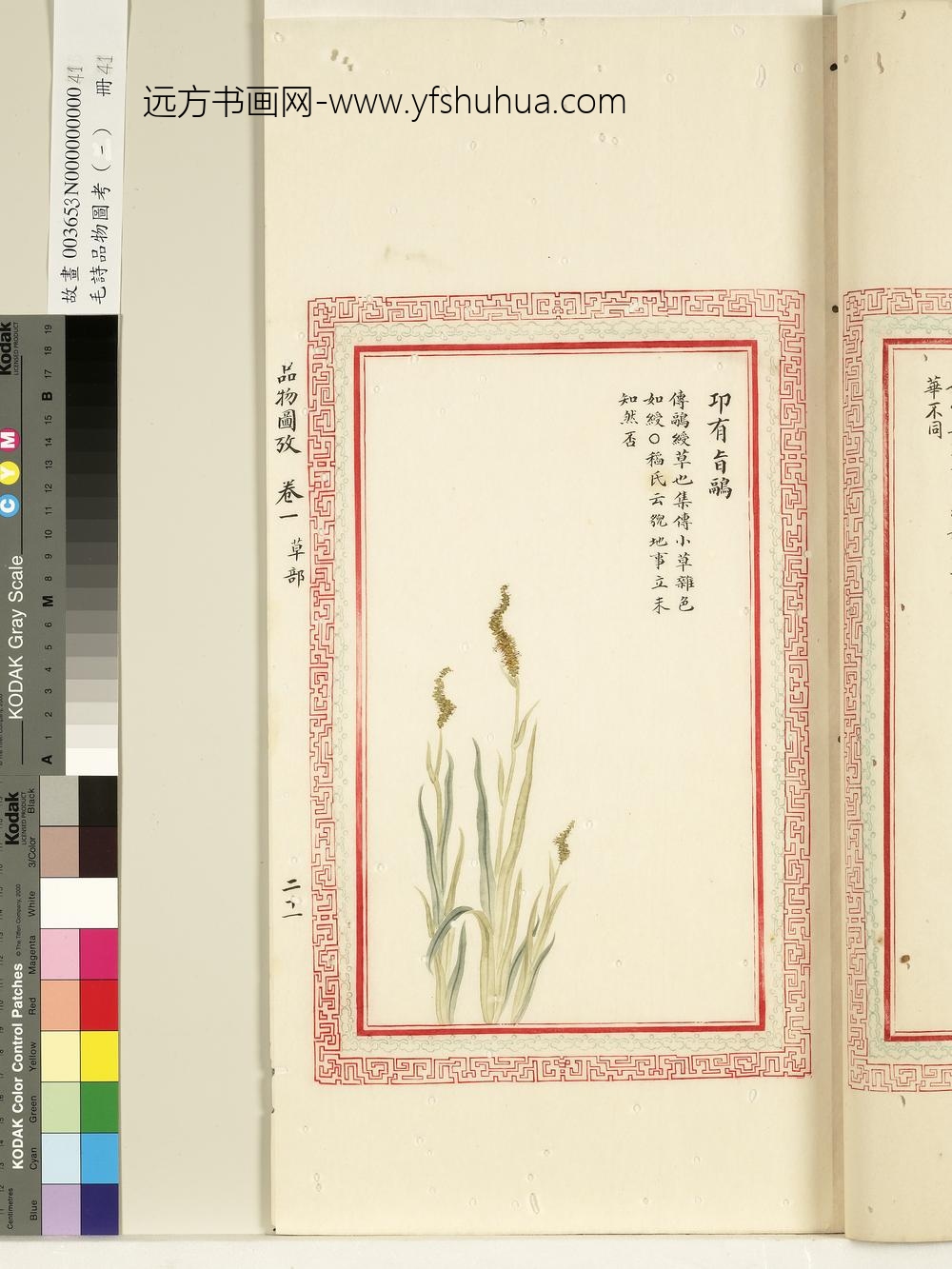 毛诗品物图考（一）册-卭有旨鹝-