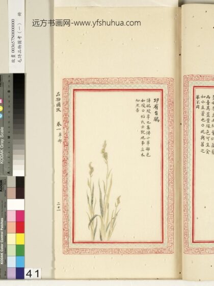 毛诗品物图考（一）册 卭有旨鹝 2.jpg