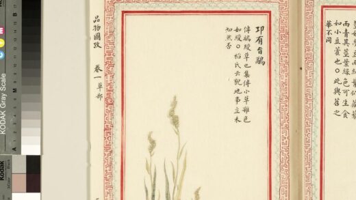 毛诗品物图考（一）册 卭有旨鹝 2.jpg