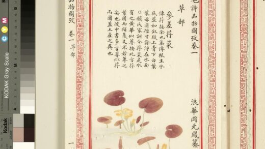 毛诗品物图考（一）册 参差荇菜 1.jpg