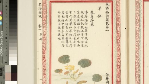 毛诗品物图考（一）册 参差荇菜 2.jpg