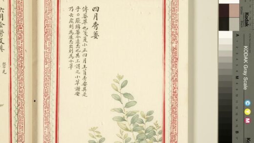 毛诗品物图考（一）册 四月秀葽 1.jpg