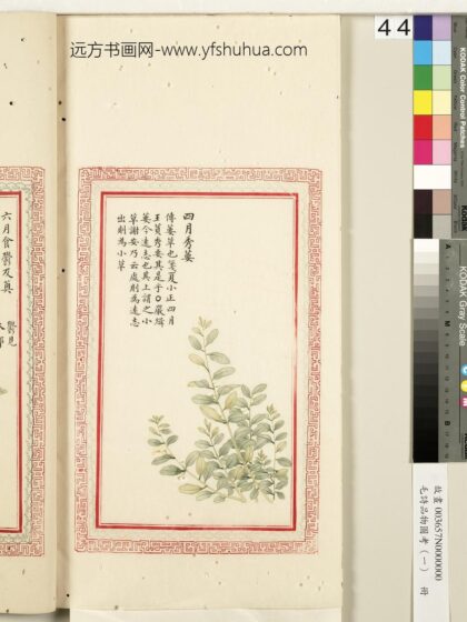 毛诗品物图考（一）册 四月秀葽 2.jpg