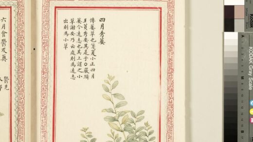 毛诗品物图考（一）册 四月秀葽 2.jpg