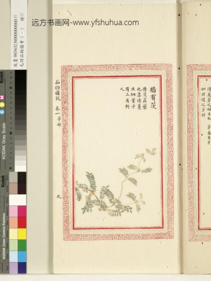 毛诗品物图考（一）册 墙有茨 1.jpg