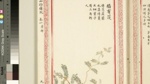 毛诗品物图考（一）册 墙有茨 1.jpg