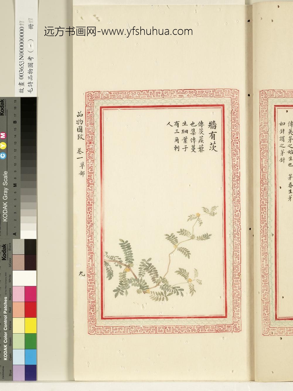 毛诗品物图考（一）册-墙有茨-