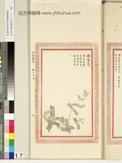 毛诗品物图考（一）册 墙有茨 2.jpg