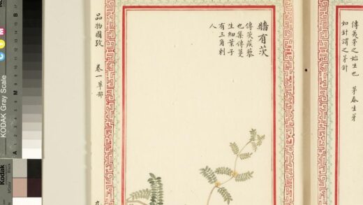 毛诗品物图考（一）册 墙有茨 2.jpg