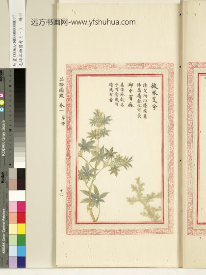 毛诗品物图考（一）册 彼采艾兮邱中有麻 1.jpg