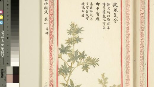 毛诗品物图考（一）册 彼采艾兮邱中有麻 1.jpg