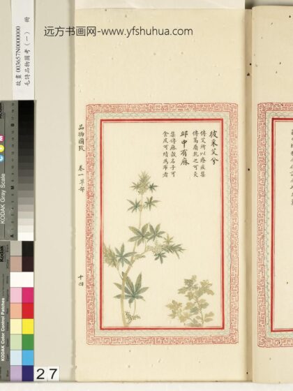 毛诗品物图考（一）册 彼采艾兮邱中有麻 2.jpg