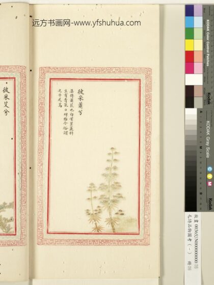 毛诗品物图考（一）册 彼采萧兮 1.jpg