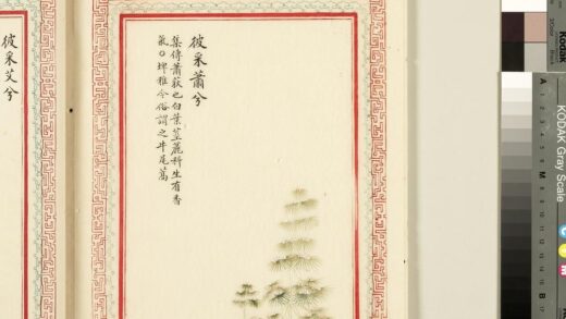 毛诗品物图考（一）册 彼采萧兮 2.jpg