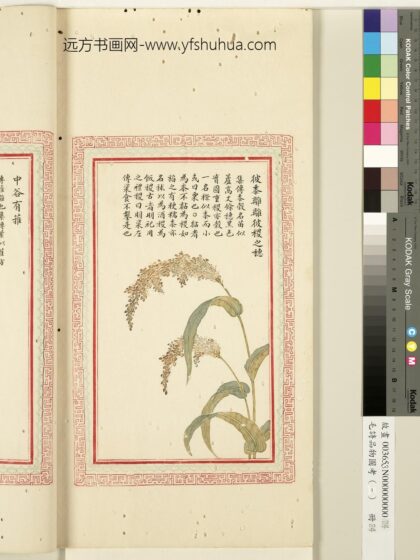 毛诗品物图考（一）册 彼黍离离彼稷之穗 1.jpg