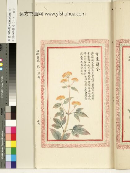 毛诗品物图考（一）册 方秉蕑兮 1.jpg