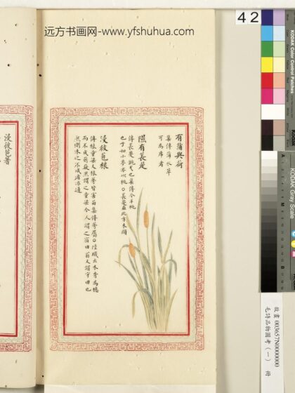 毛诗品物图考（一）册 有蒲与荷隰有苌楚浸彼苞稂 2.jpg
