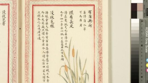 毛诗品物图考（一）册 有蒲与荷隰有苌楚浸彼苞稂 2.jpg