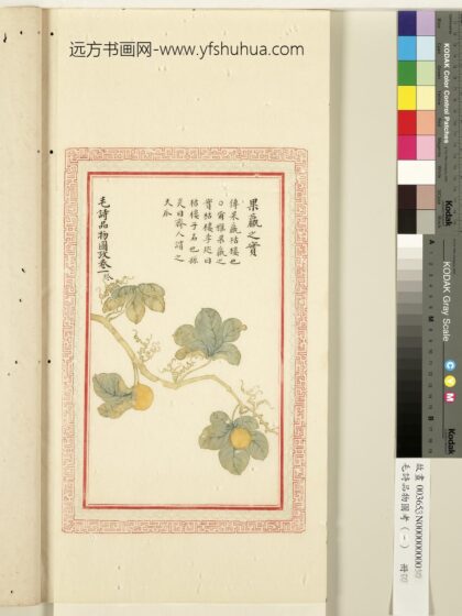 毛诗品物图考（一）册 果臝之实 1.jpg