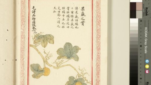 毛诗品物图考（一）册 果臝之实 1.jpg