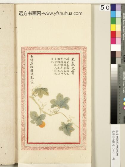 毛诗品物图考（一）册 果臝之实 2.jpg