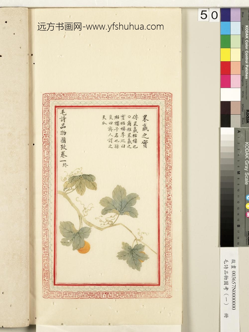 毛诗品物图考（一）册-果臝之实-