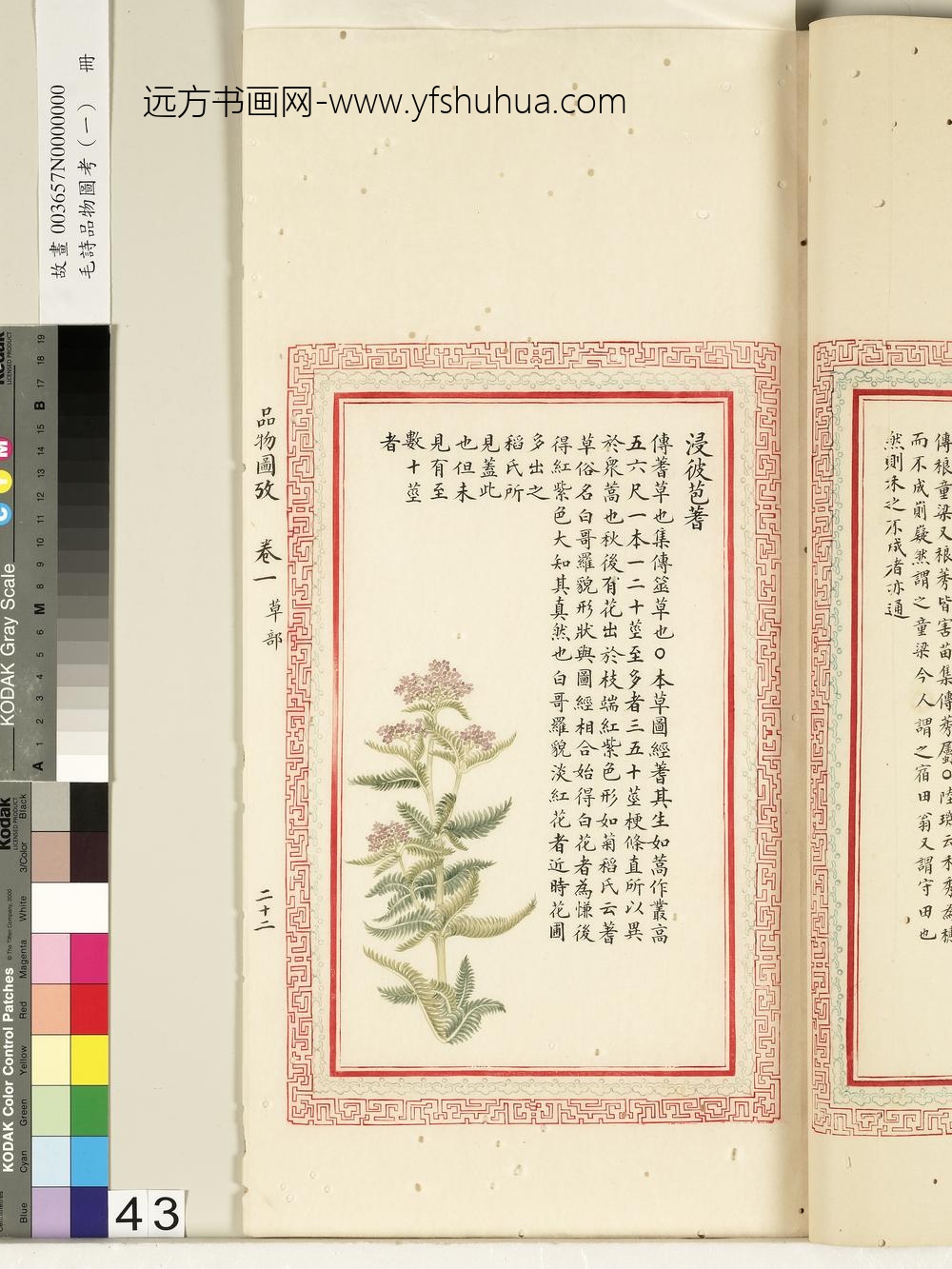 毛诗品物图考（一）册-浸彼苞蓍-