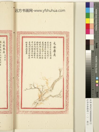 毛诗品物图考（一）册 爰采唐矣 1.jpg