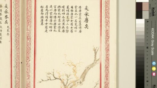 毛诗品物图考（一）册 爰采唐矣 1.jpg