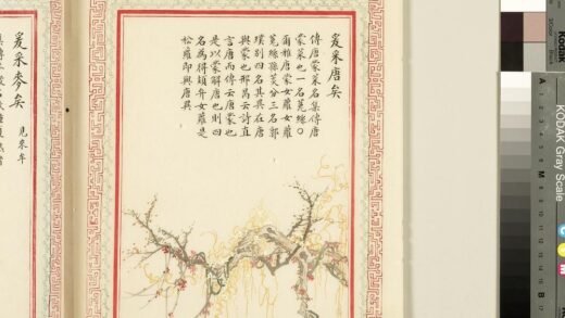 毛诗品物图考（一）册 爰采唐矣 2.jpg