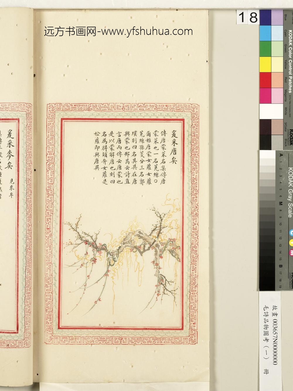 毛诗品物图考（一）册-爰采唐矣-