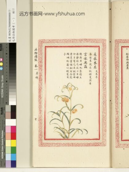 毛诗品物图考（一）册 爰采麦矣言采其虻.jpg