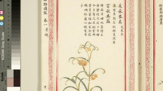 毛诗品物图考（一）册 爰采麦矣言采其虻.jpg