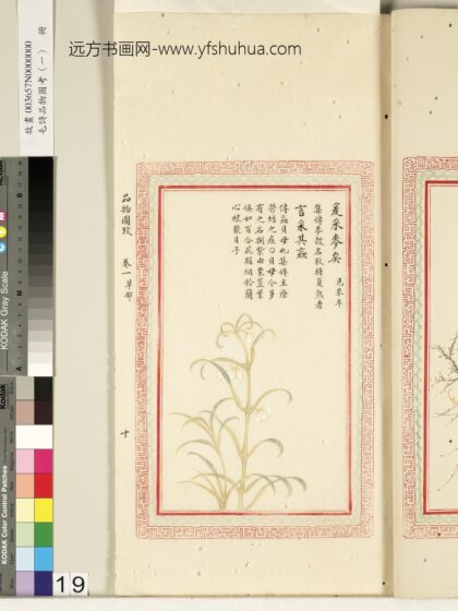 毛诗品物图考（一）册 爰采麦矣言采其蝱.jpg