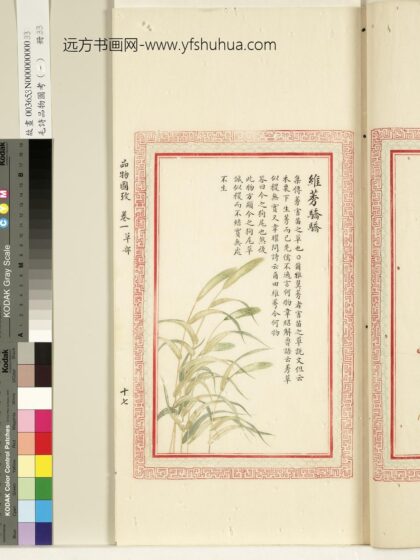 毛诗品物图考（一）册 维莠骄骄 1.jpg