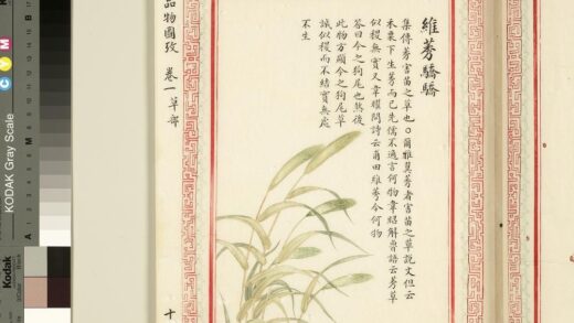 毛诗品物图考（一）册 维莠骄骄 1.jpg