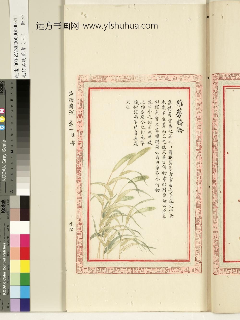 毛诗品物图考（一）册-维莠骄骄-