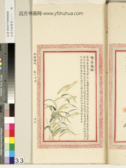 毛诗品物图考（一）册 维莠骄骄 2.jpg