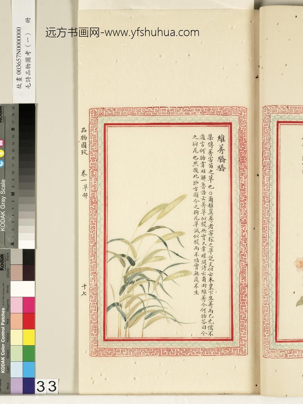 毛诗品物图考（一）册-维莠骄骄-