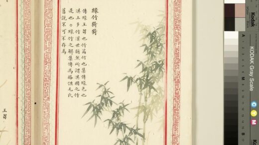 毛诗品物图考（一）册 绿竹猗猗 1.jpg