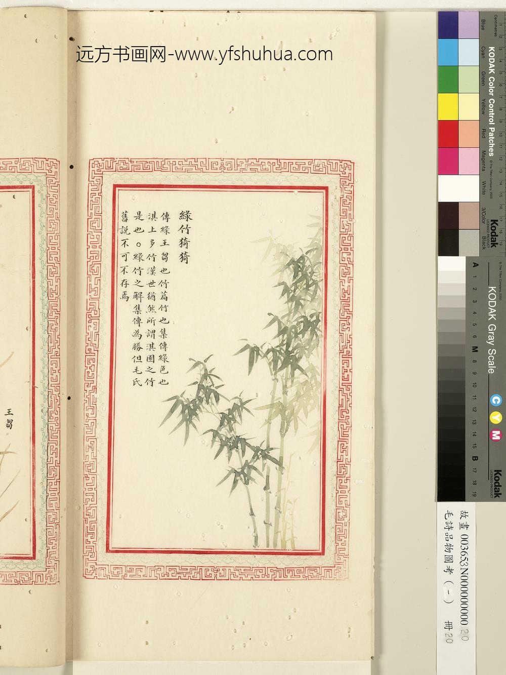 毛诗品物图考（一）册-绿竹猗猗-