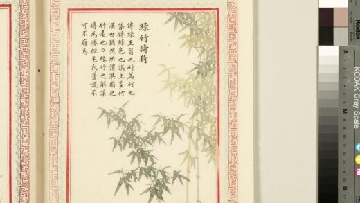 毛诗品物图考（一）册 绿竹猗猗 2.jpg