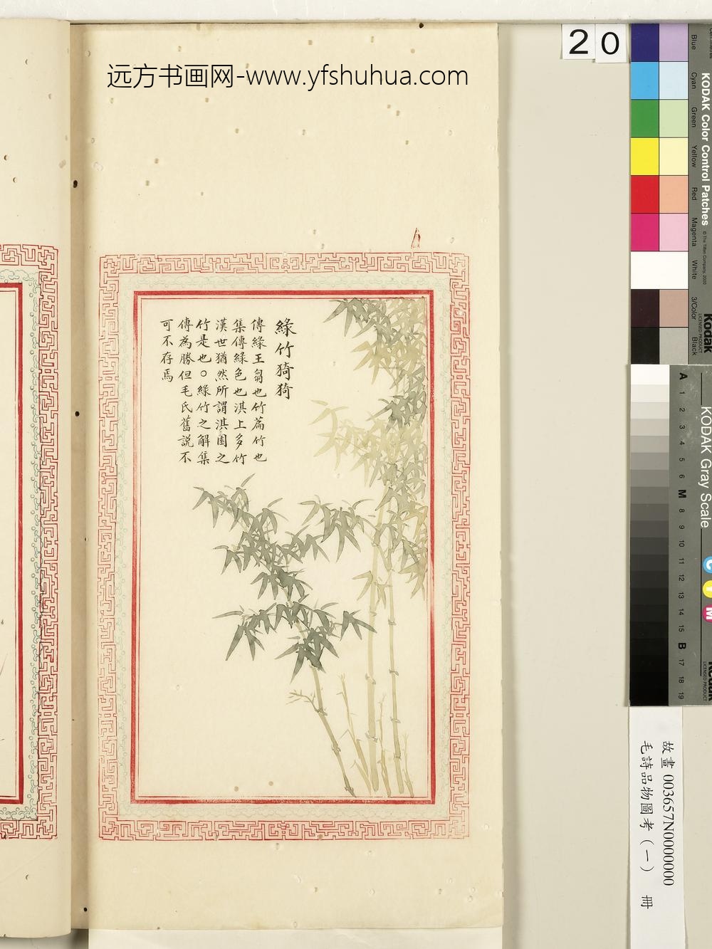 毛诗品物图考（一）册-绿竹猗猗-