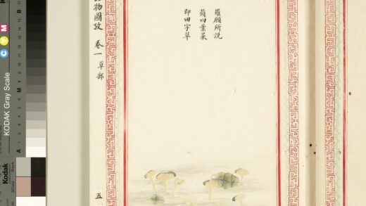 毛诗品物图考（一）册 罗愿所说 1.jpg