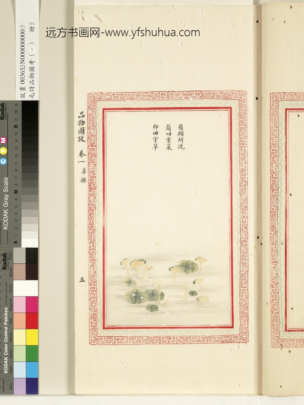 毛诗品物图考（一）册-罗愿所说-