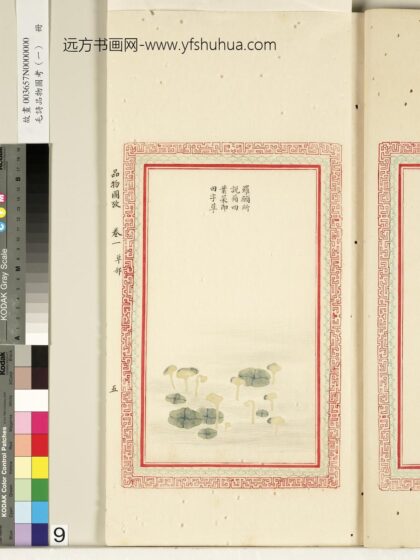 毛诗品物图考（一）册 罗愿所说 2.jpg