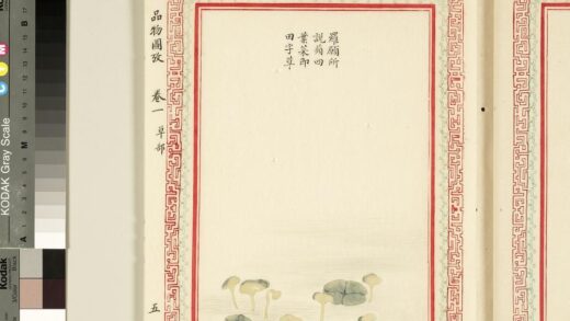 毛诗品物图考（一）册 罗愿所说 2.jpg