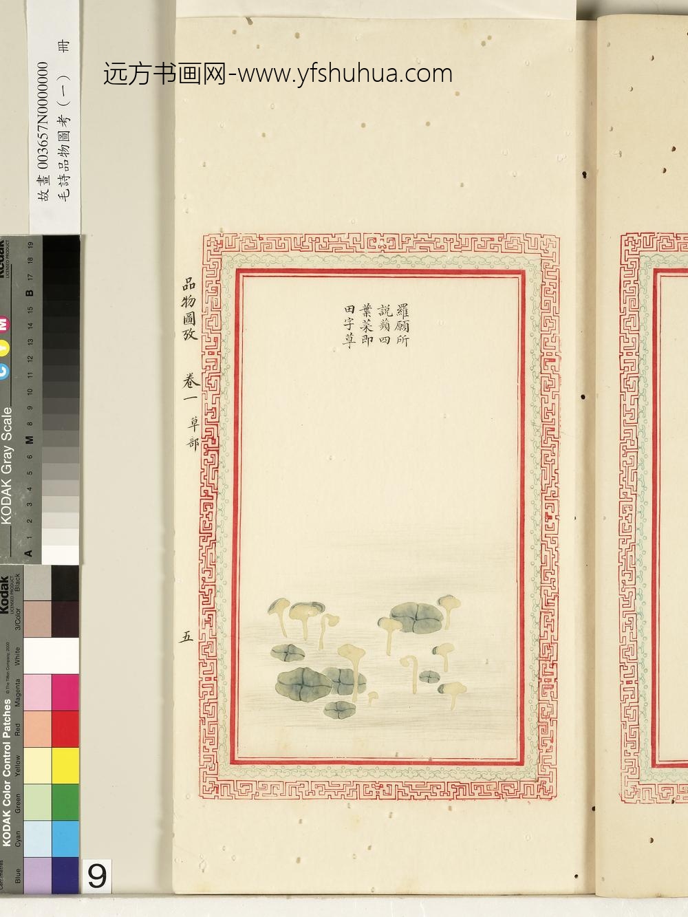 毛诗品物图考（一）册-罗愿所说-