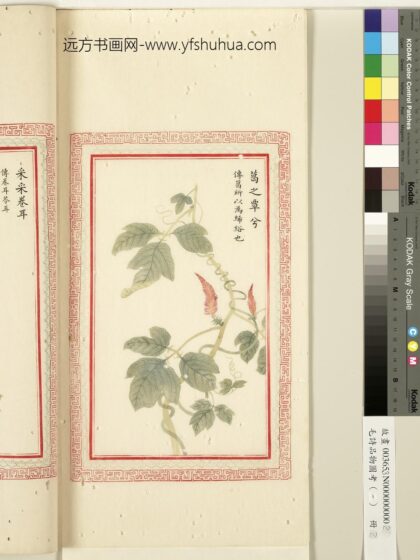 毛诗品物图考（一）册 葛之覃兮 1.jpg